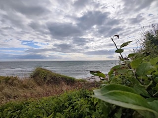 Ferienhaus Bjerge Strand  46