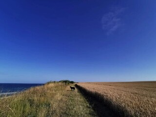 Vakantiehuis Bjerge Strand  55