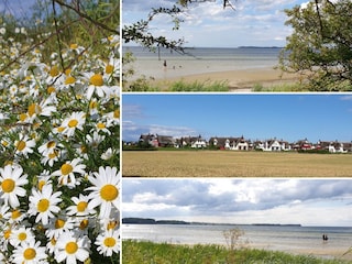 Ferienhaus Zierow Umgebung 20