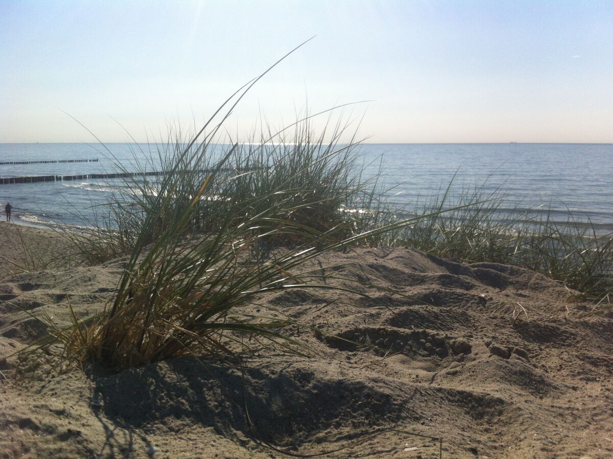 Strandliebe