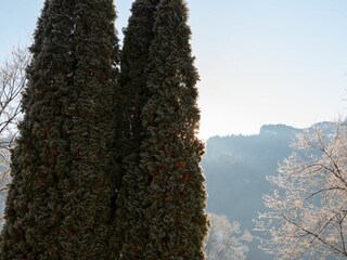 Holiday apartment Garmisch-Partenkirchen Environment 36