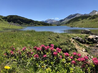 Casa per le vacanze Forstau Ambiente 35