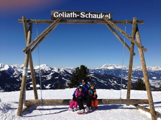 Casa per le vacanze Forstau Ambiente 39