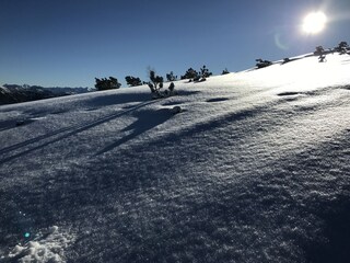 Casa per le vacanze Forstau Ambiente 40