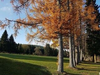 Appartement Winterberg Omgeving 20