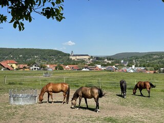 Casa per le vacanze Rudolstadt Ambiente 26