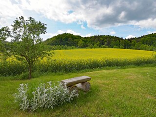 Casa per le vacanze Rudolstadt Ambiente 24