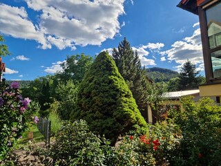 Vakantiehuis Rudolstadt Buitenaudio-opname 3