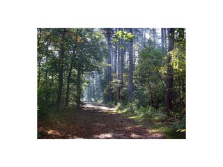 Bungalow De Koog Environment 14