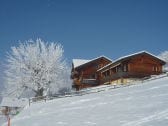 Das Chalet im Winter