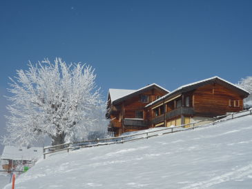 Ferienwohnung Chalet Mooshang mit atemberaubender Aussicht