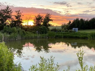 Vakantiehuis Vellerup  33