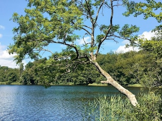 Holiday house Vellerup  44