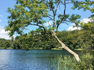 Vakantiehuis Vellerup  18