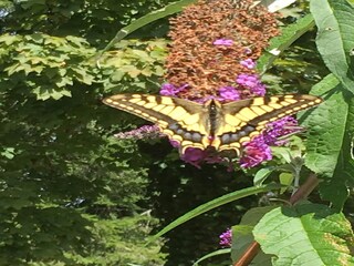 Maison de vacances Laval-sur-Luzège  34
