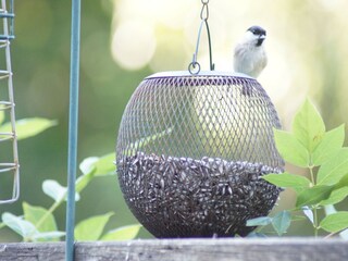 Ferienhaus Laval-sur-Luzège  33