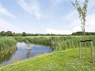 Holiday house Sint-Maartensdijk Outdoor Recording 12