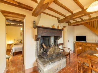 Fattoria Caprese Michelangelo Caratteristiche 25