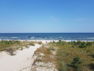 Strand an der Schaabe