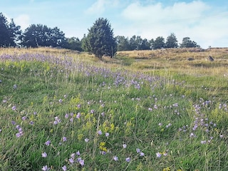 Holiday house Klädesholmen  46