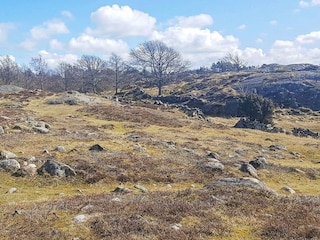 Holiday house Klädesholmen  23