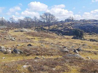 Vakantiehuis Klädesholmen  23