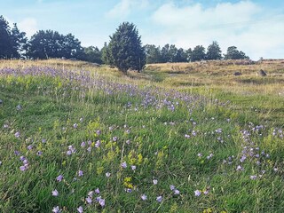 Ferienhaus Klädesholmen  8
