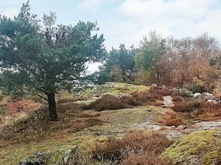 Holiday house Klädesholmen  13