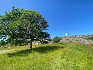 Holiday house Klädesholmen  8