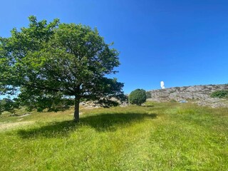 Vakantiehuis Klädesholmen  14