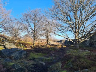 Vakantiehuis Klädesholmen  46