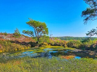 Ferienhaus Klädesholmen  34