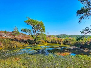 Holiday house Klädesholmen  29