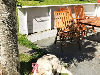 Vakantiehuis Flatraket Buitenaudio-opname 5