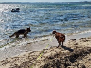 Ferienhaus Ebeltoft  21