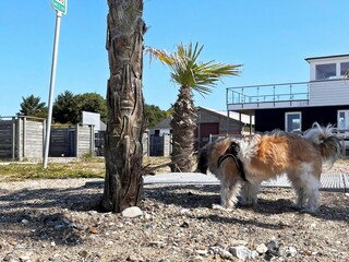 Casa de vacaciones Øster Assels Grabación al aire libre 8