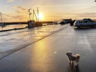 Casa de vacaciones Øster Assels Grabación al aire libre 7