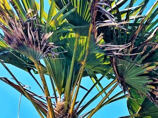 Casa per le vacanze Øster Assels  16