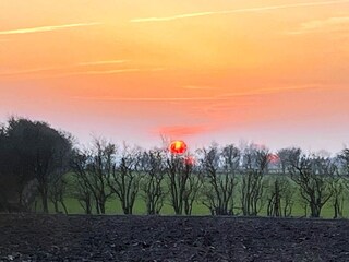 Holiday house Øster Assels  15