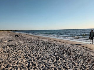 Ferienhaus Vaeggerløse  35
