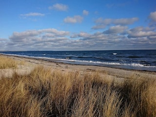 Vakantiehuis Vaeggerløse  28