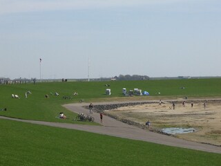 Nur 250m vom Nordseedeich