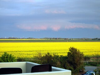 Blick vom Balkon