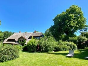 Ferienwohnung Dachgeschosswohnung auf dem Holthof/Ostsee - Bastorf - image1