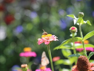 Appartamento per vacanze Mals Ambiente 12