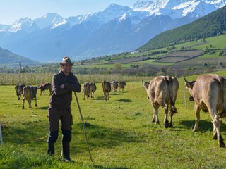 Appartamento per vacanze Mals Ambiente 15