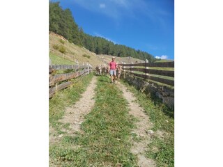 Appartamento per vacanze Mals Ambiente 17