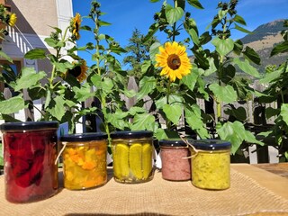 Appartamento per vacanze Mals Ambiente 18