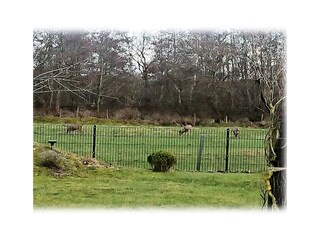 Holiday house Duhnen Outdoor Recording 71