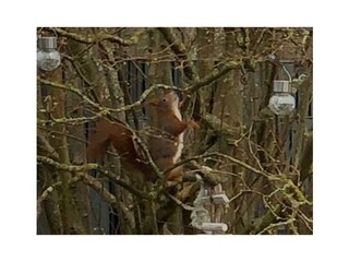 Holiday house Duhnen Outdoor Recording 74